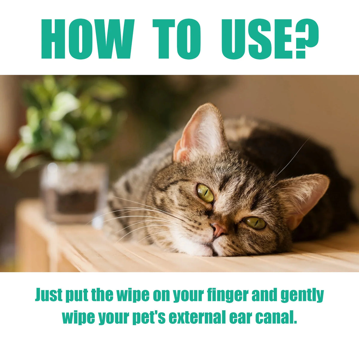 50PCS Pet Ear Cleaning Finger Wipes Gentle CLeaning Ear Canal Deep Remove Earwax Mite Repellent Non-irritating Eliminate Bad Odor Soothing Discomfort Pet Ear Cleaner