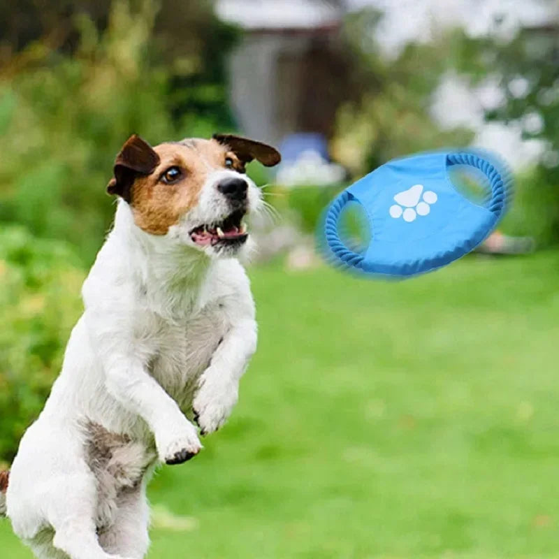 Durable Cotton Rope Dog Toy Outdoor Fetch Throwing Toy Bite Resistant Interactive Tug Chew for Dogs