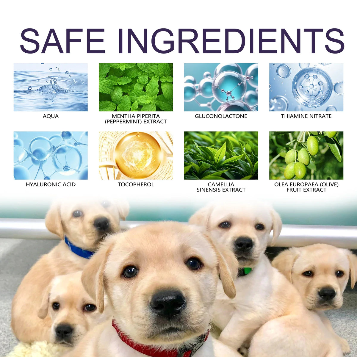 Pet Anti-Chew Bitter Spray, Dog Behavior Training Deterrent Spray, Stop Biting Chewing Scratching, Protect Furniture Shoes Household Items
