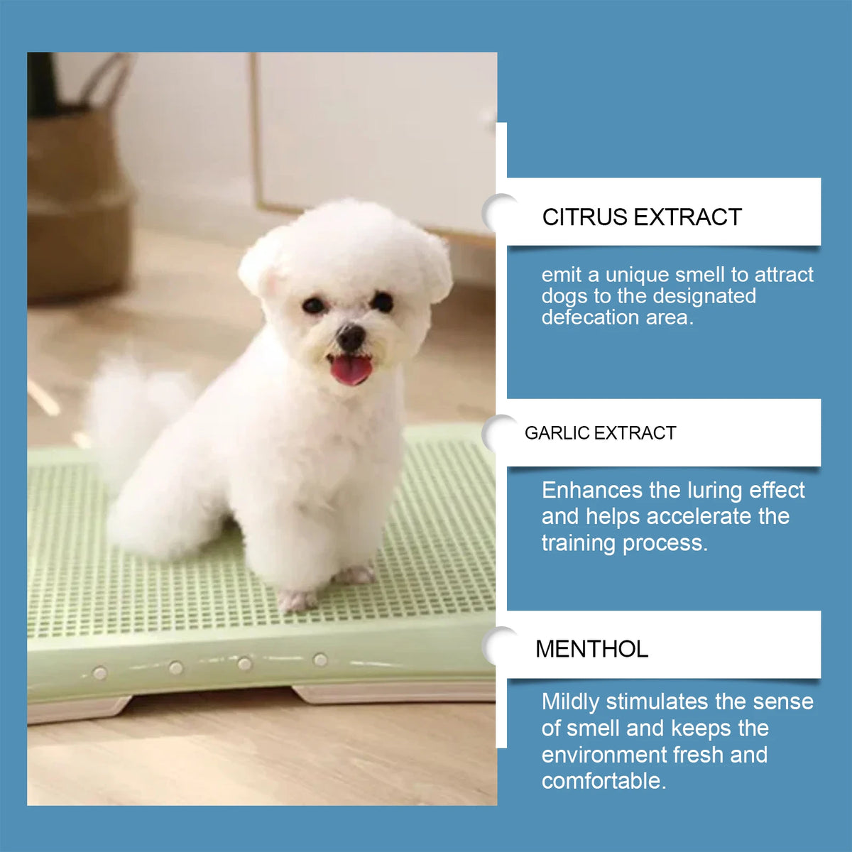 Pet Potty Training Spray for Dogs, Gentle Non-Irritating Positioning Inducer to Guide Pet Toileting