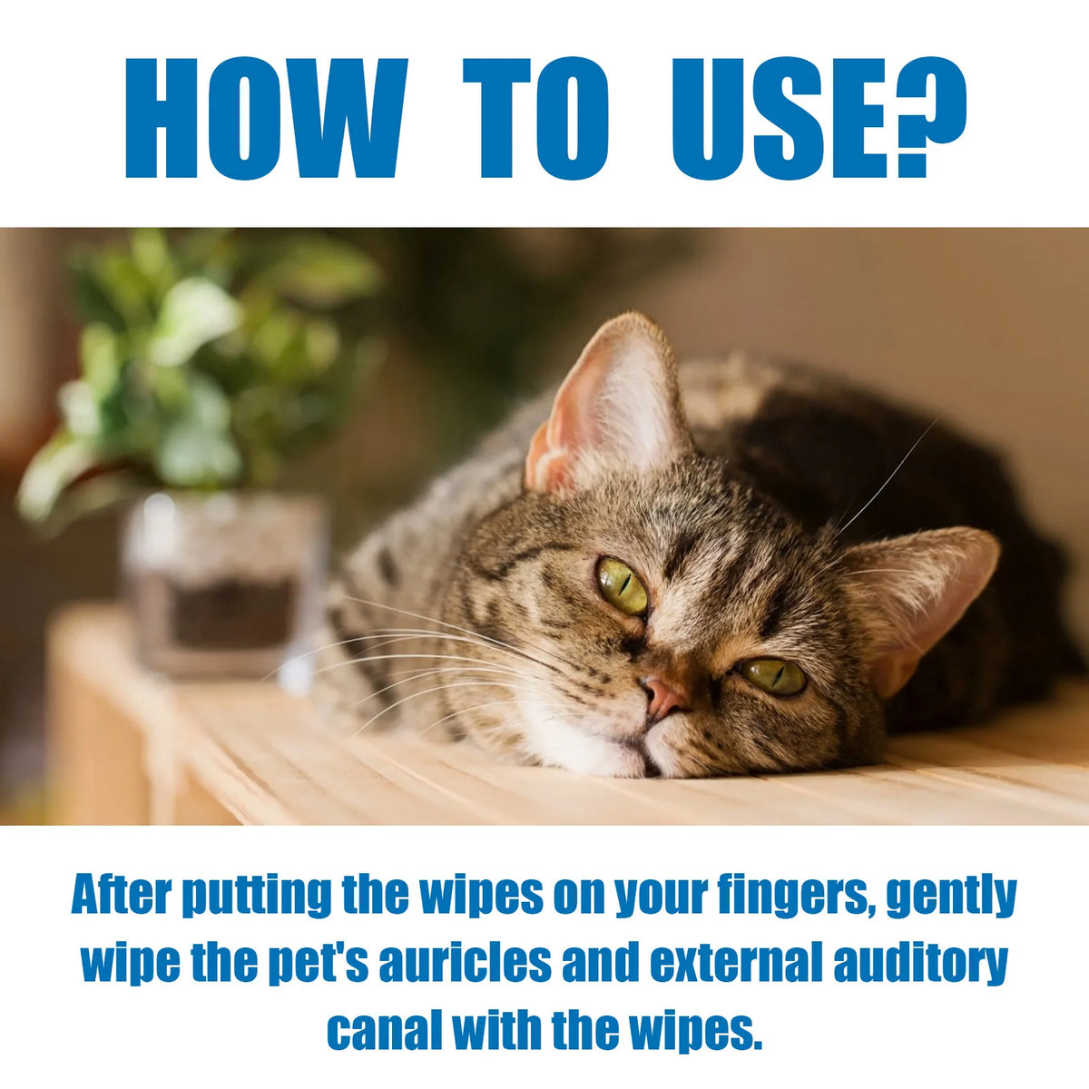 Pet Ear Finger Wipes For Dogs And Cats, Ear Cleaning Finger Cots, Remove Earwax, Eliminate Ear Odor For Pet Ear Care