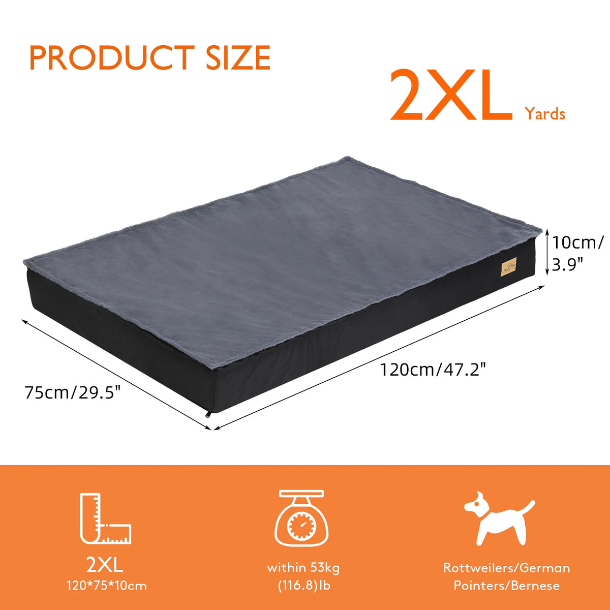 Bingopaw Washable Orthopedic Dog Bed With Removable Sponge Foam Cover