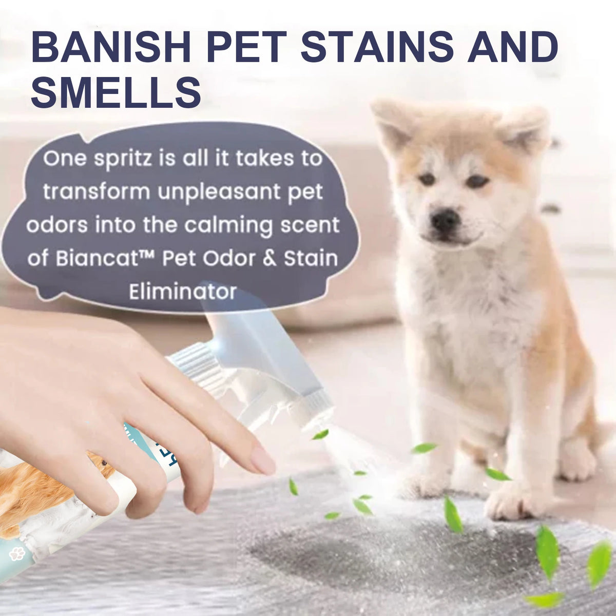 Pet Deodorizing Spray For Cats And Dogs, Remove Urine Feces Body Odor, Plant Extract Formula, Freshen Indoor Air