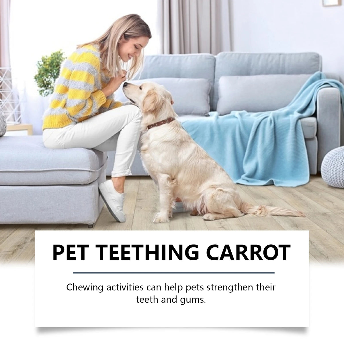 Pet Teething Carrot: Cute Carrot for Teething, Cares for Pet Teeth, Chewable and Bite-Resistant