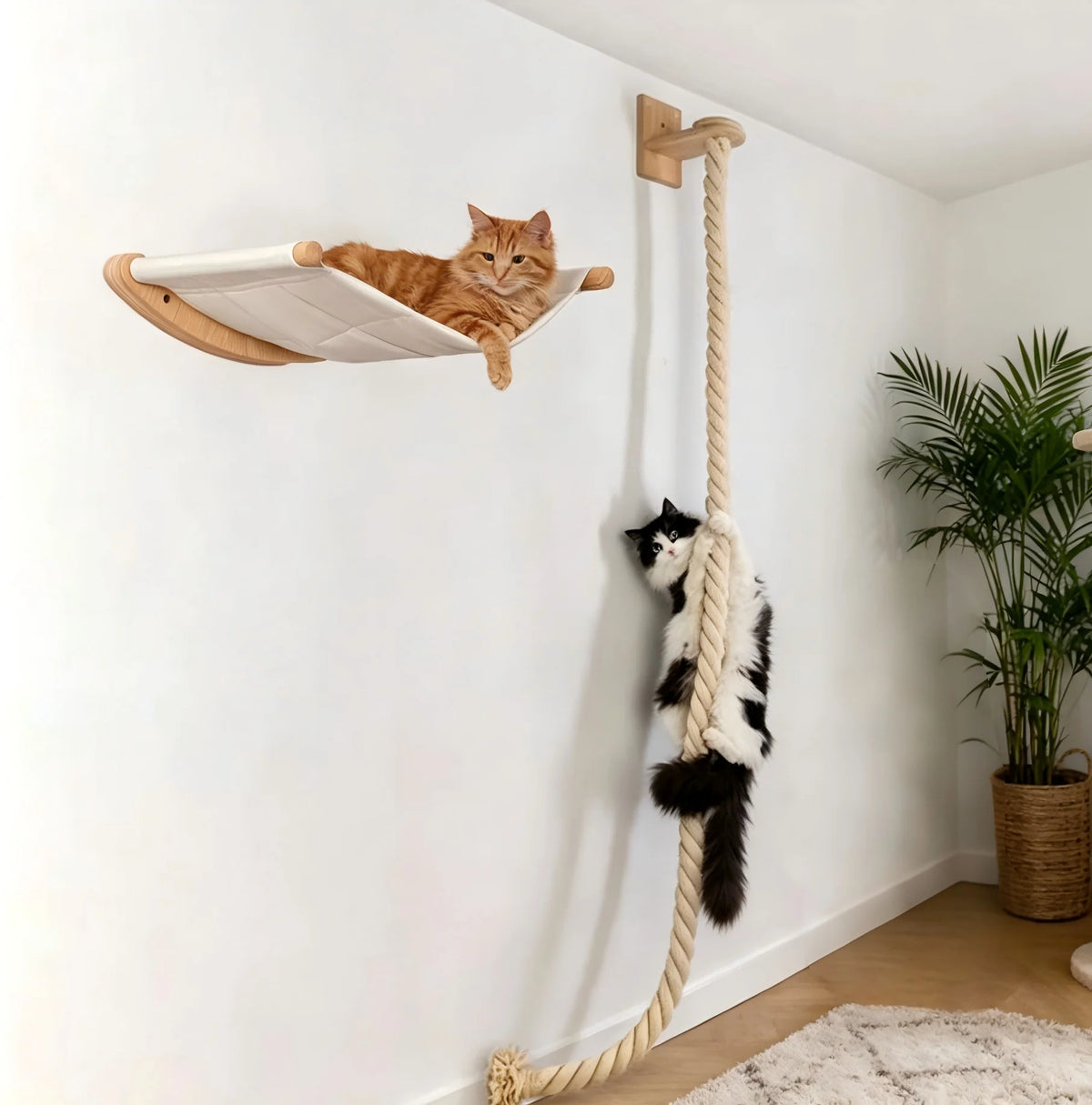 CWV Wall Mounted Cat Hammock Climbing Shelf With Scratching Perch