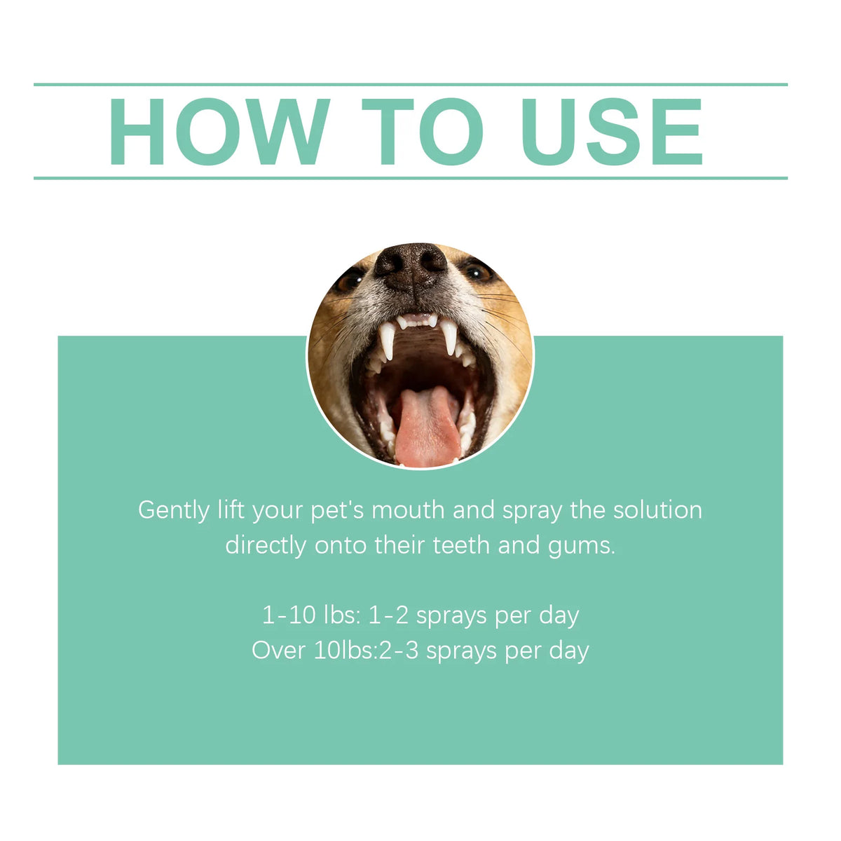 100ML Pet Oral Care Spray Gentle Remove Teeth Stains Prevent Plaque Eliminate Bad Breath Reduce Tartar Promote Pet Health Pet Dental Care Spray