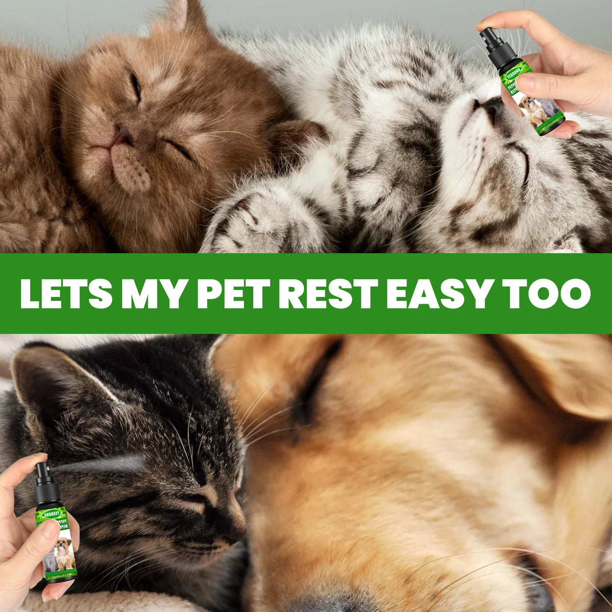 60ML Mint Pet Insect Repellent Spray Natural Formula Cleaning Pet Hair Dirts Eliminate Bad Odors Soothing Discomfort Relief Itching Pet Flea Repellent Spray
