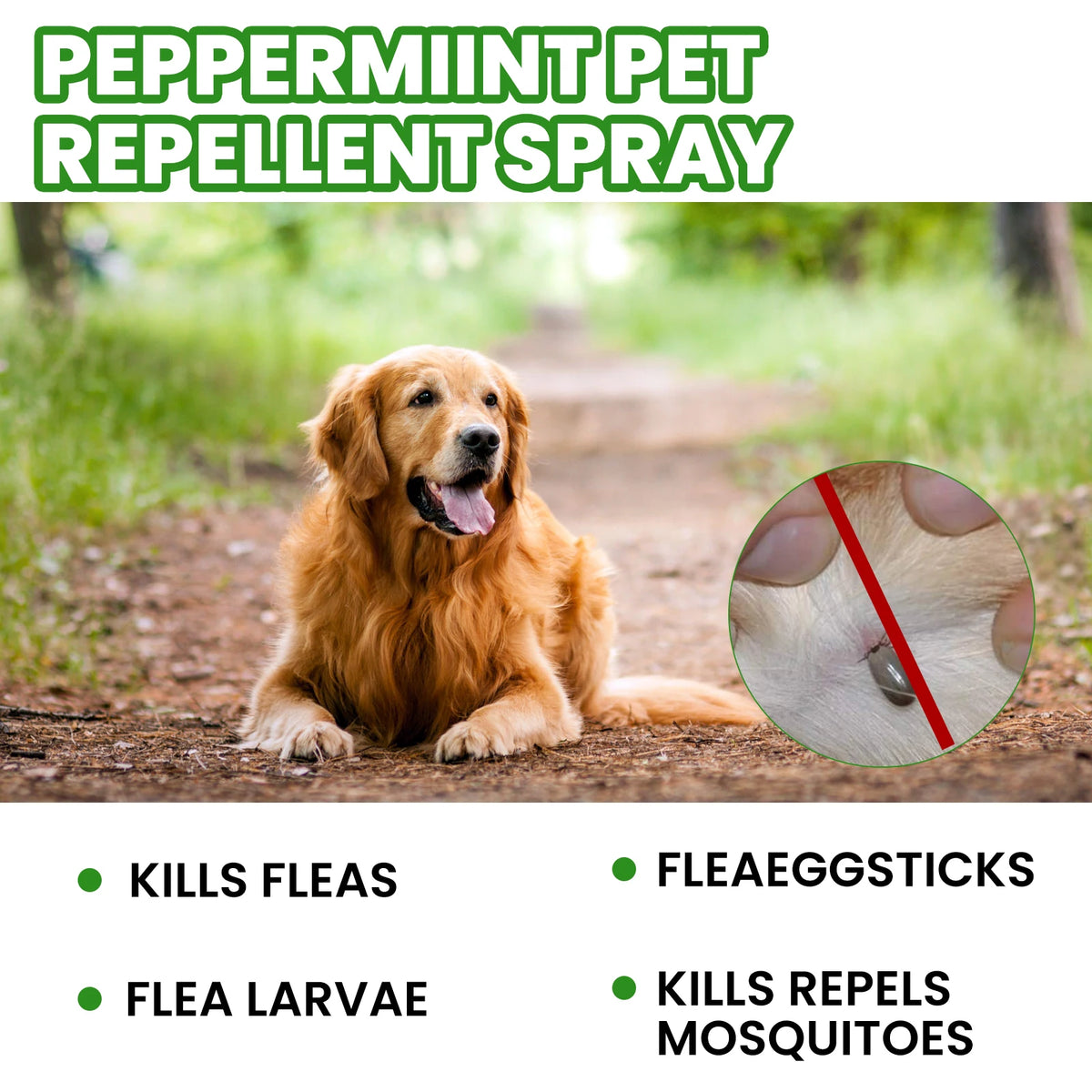 60ML Mint Pet Insect Repellent Spray Natural Formula Cleaning Pet Hair Dirts Eliminate Bad Odors Soothing Discomfort Relief Itching Pet Flea Repellent Spray