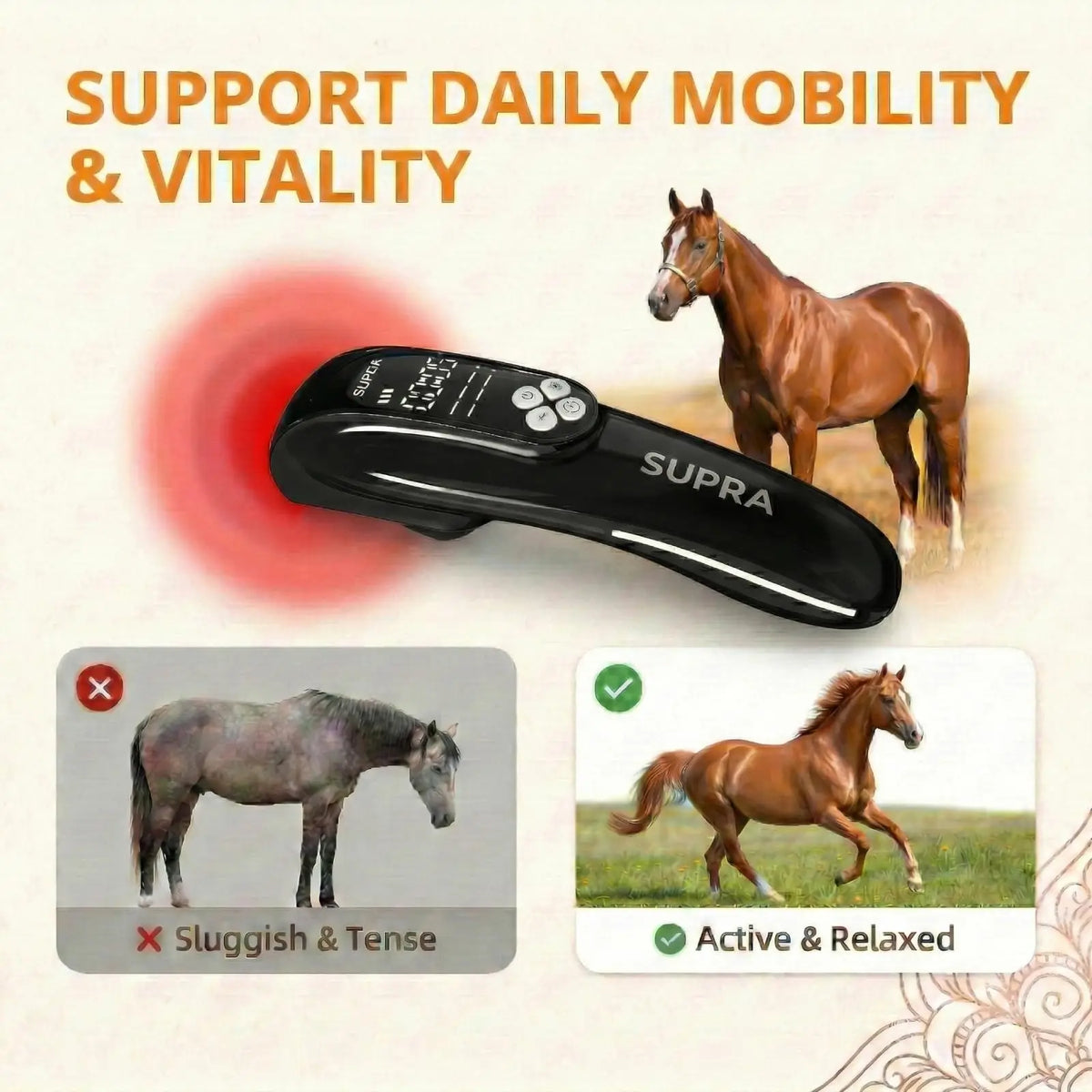 4*808nm Laser Therapy for Horses Tens Red Light Therapy Physiotherapy for Horses Tendon/Ligament Injuries and Pain Relief