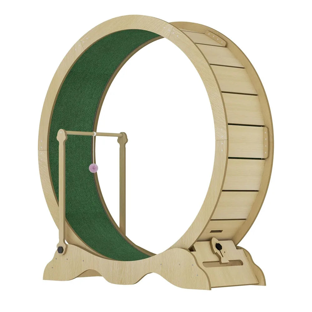 Studyset Quiet Cat Exercise Wheel With Detachable Carpeted Runway