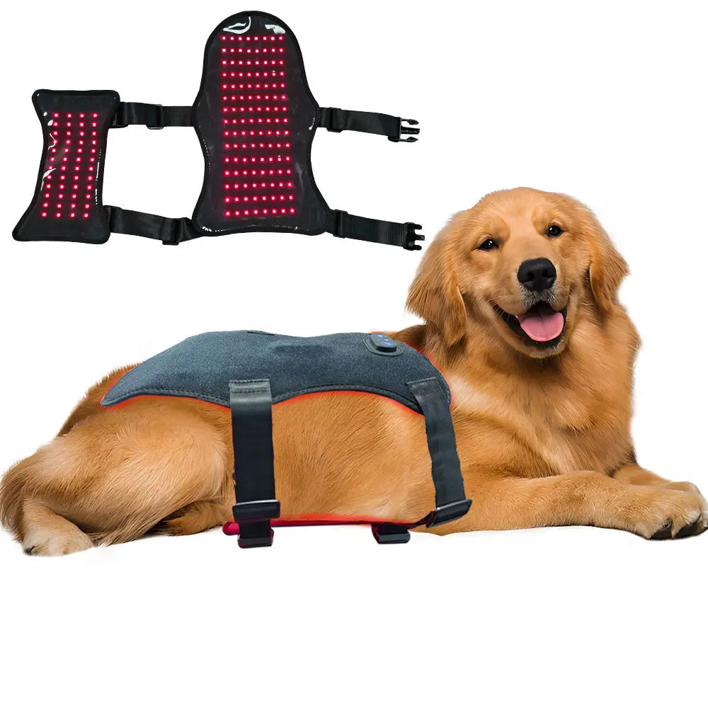 Pets Red Light Therapy Belt, LED Infrared Light Therapy for Dog and Cat with 168 LEDs 660&850 nm,Wearable Device for Pain Relief