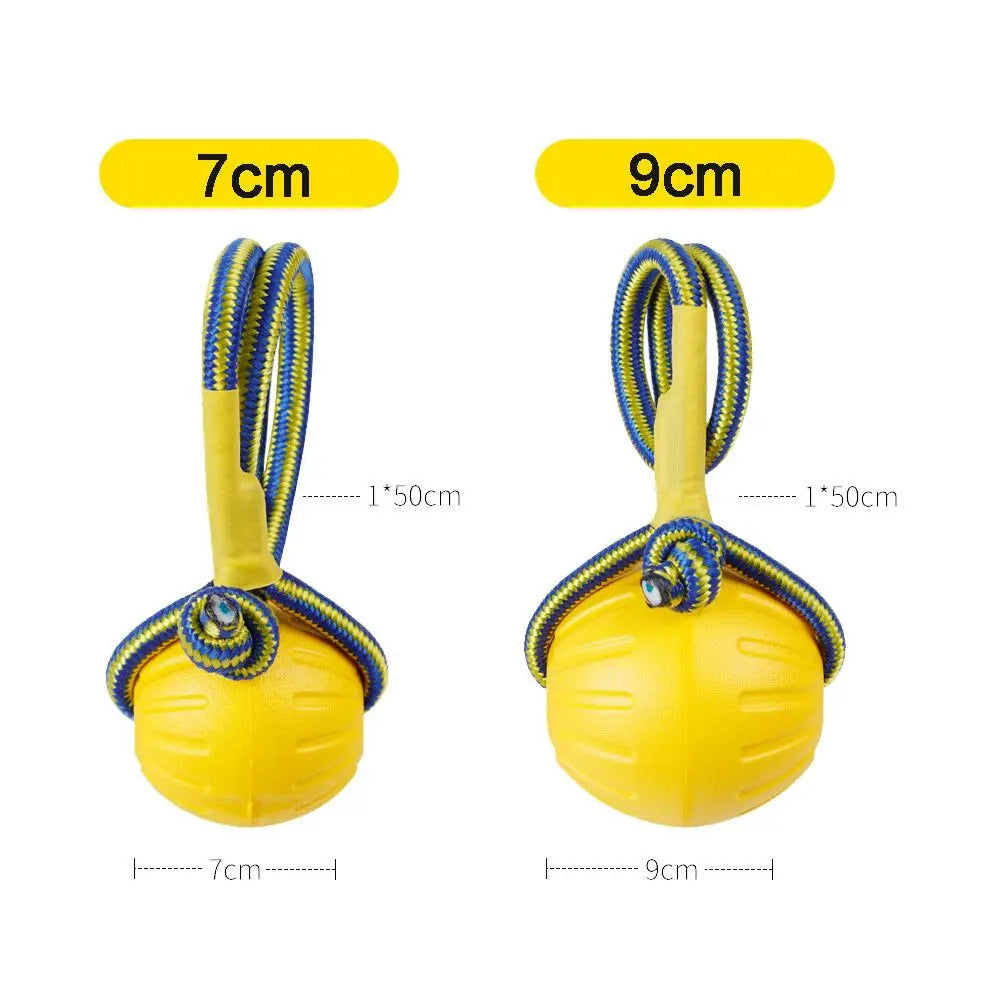 Indestructible Rubber Dog Training Chew Fetch Interactive Toy