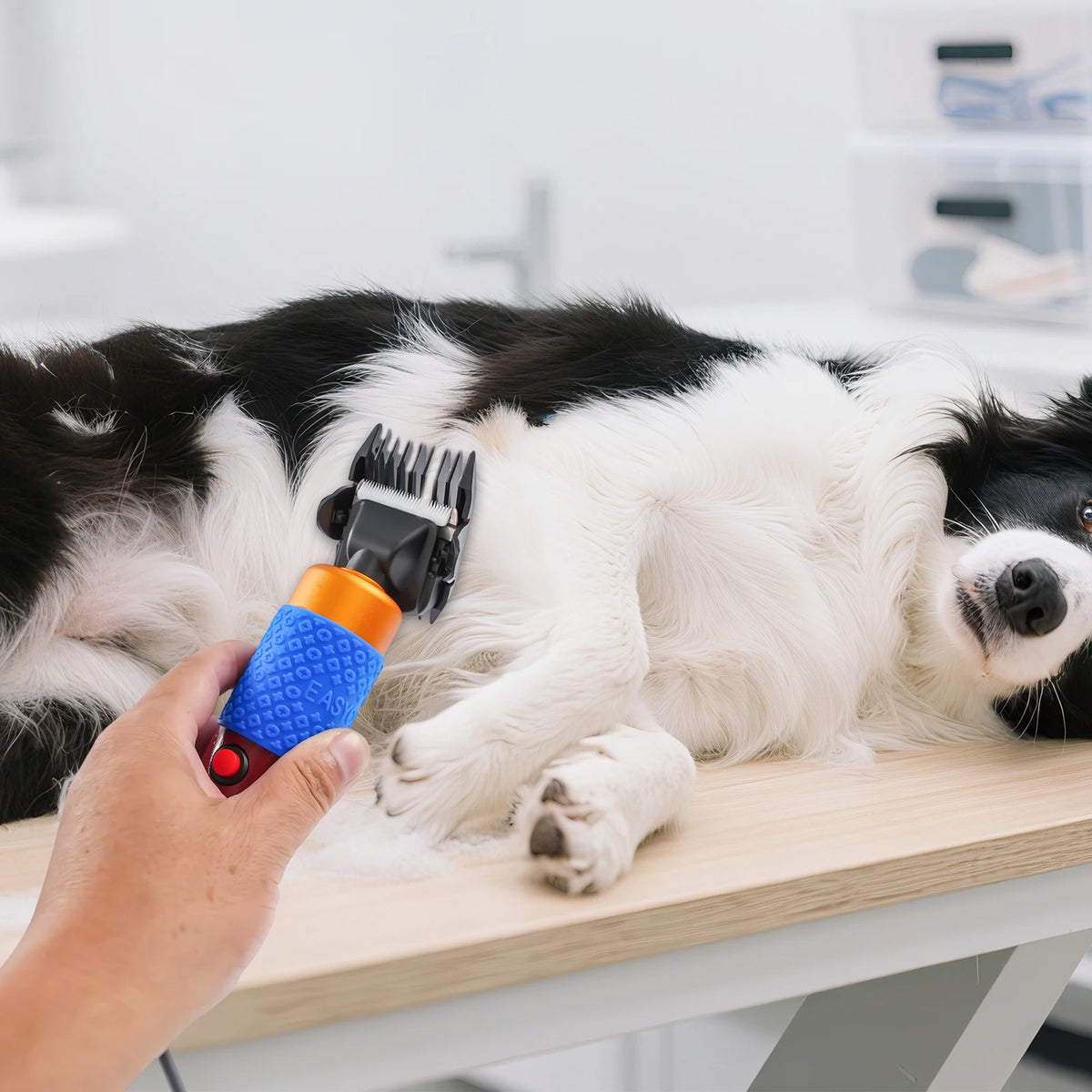 Electric Animal Grooming Clippers For Sheep Goat And Rabbits