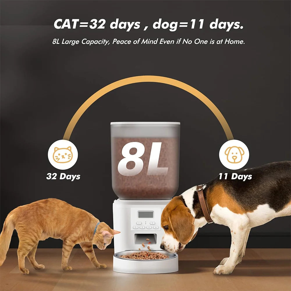 Nityers Cat Feeder With Voice Recorder And Stainless Steel Bowl