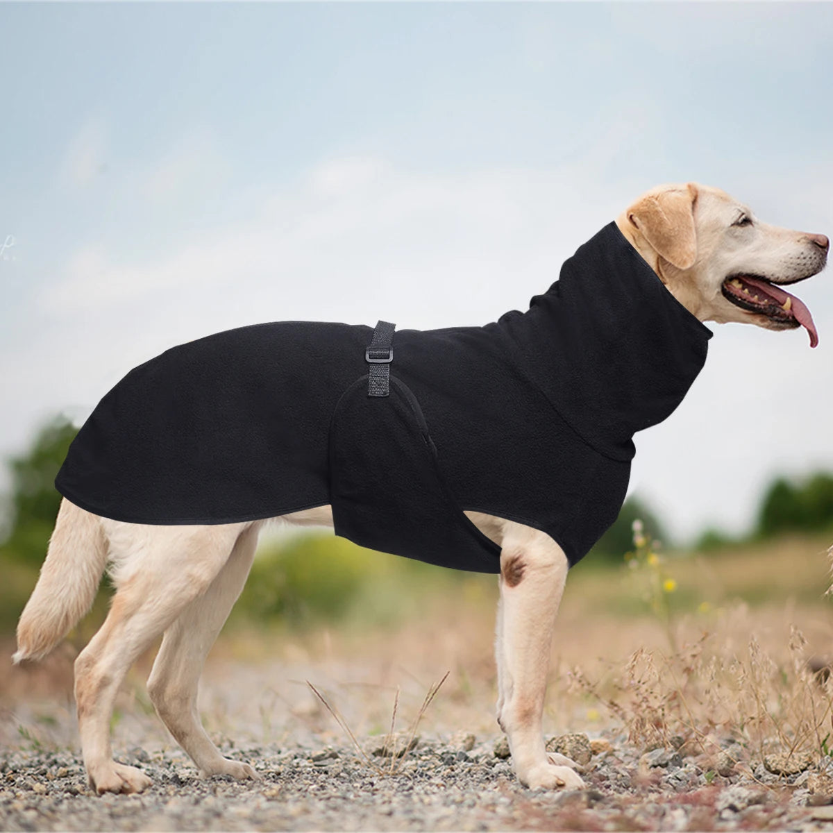 Warm Fleece Dog Coat for Whippets Greyhounds and Lurchers