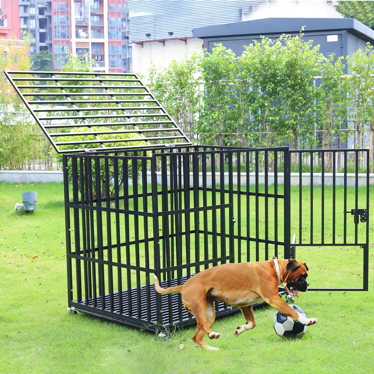 Bingopaw Heavy Duty Metal Dog Crate With Three Doors