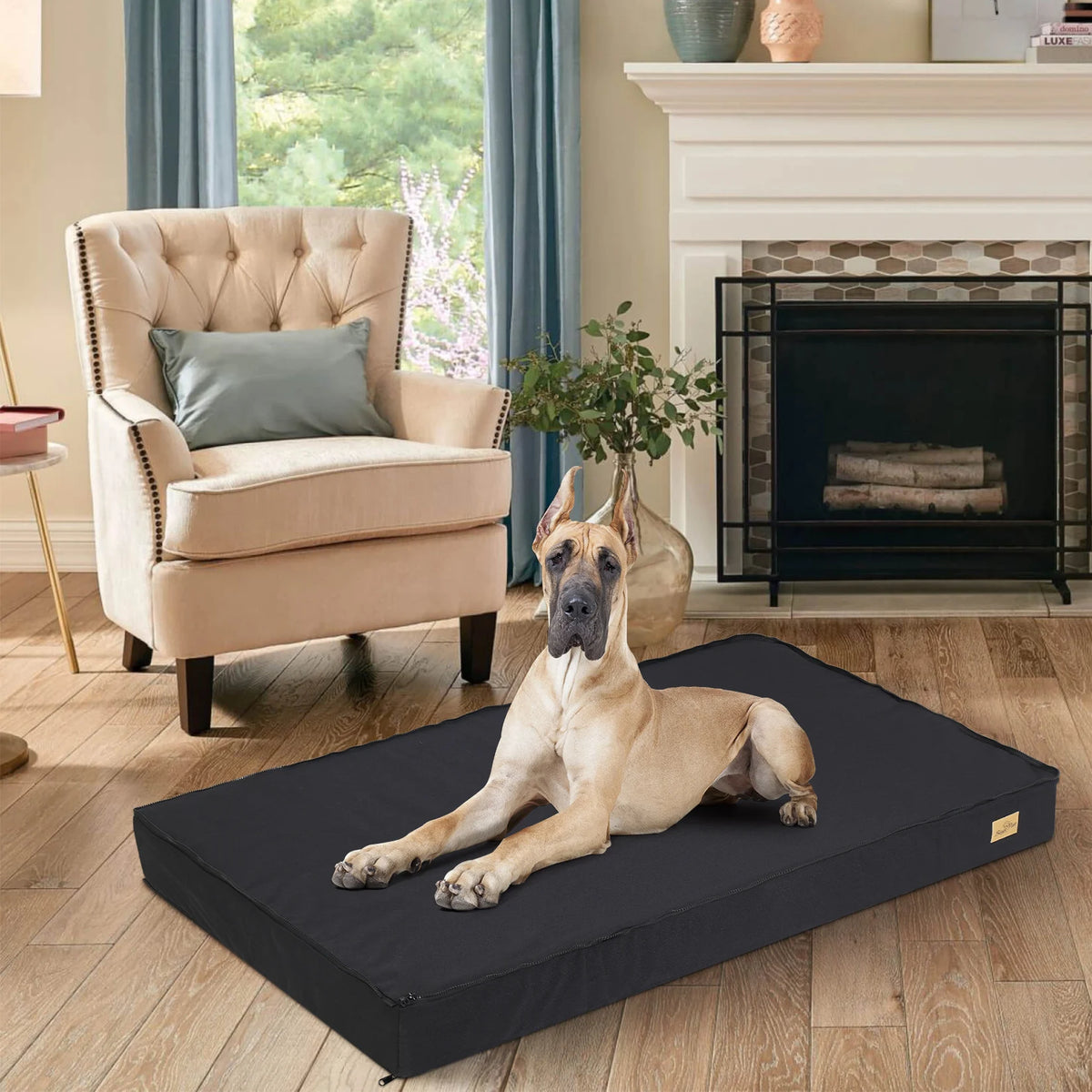 Bingopaw Washable Orthopedic Dog Bed With Removable Sponge Foam Cover