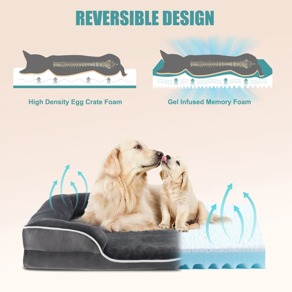 MCQ Memory Foam Orthopedic Dog Bed With Washable Cover