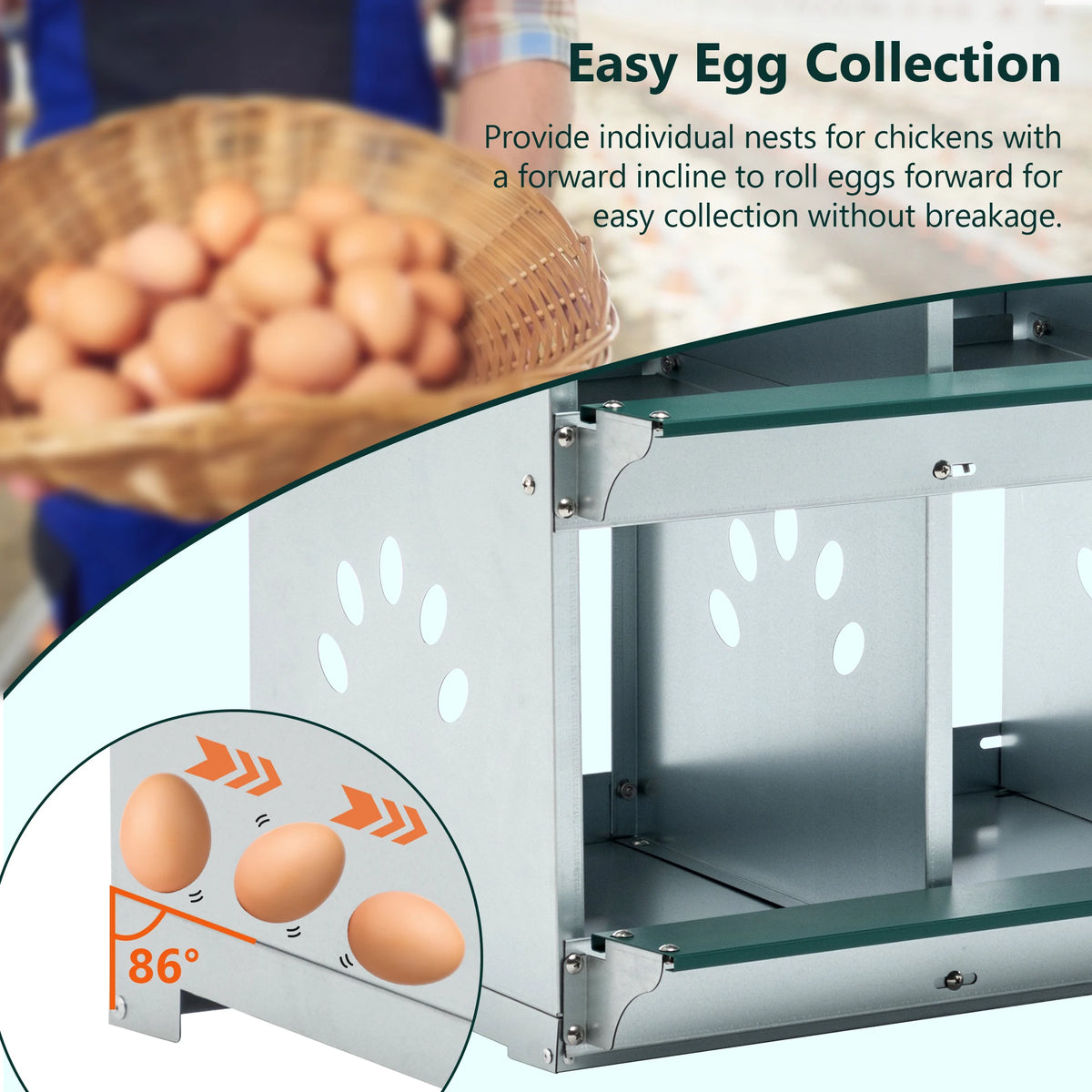Heavy Duty Wall Mount Chicken Nesting Box For Backyard Hens