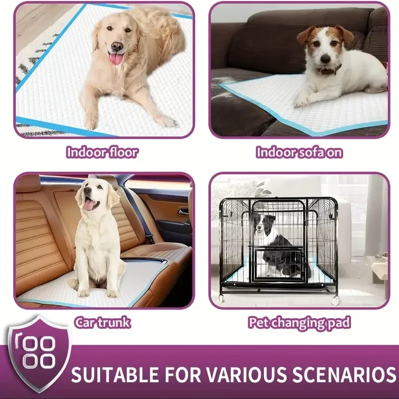 Disposable Dog Training Pads With Superior Absorption And Odor Control