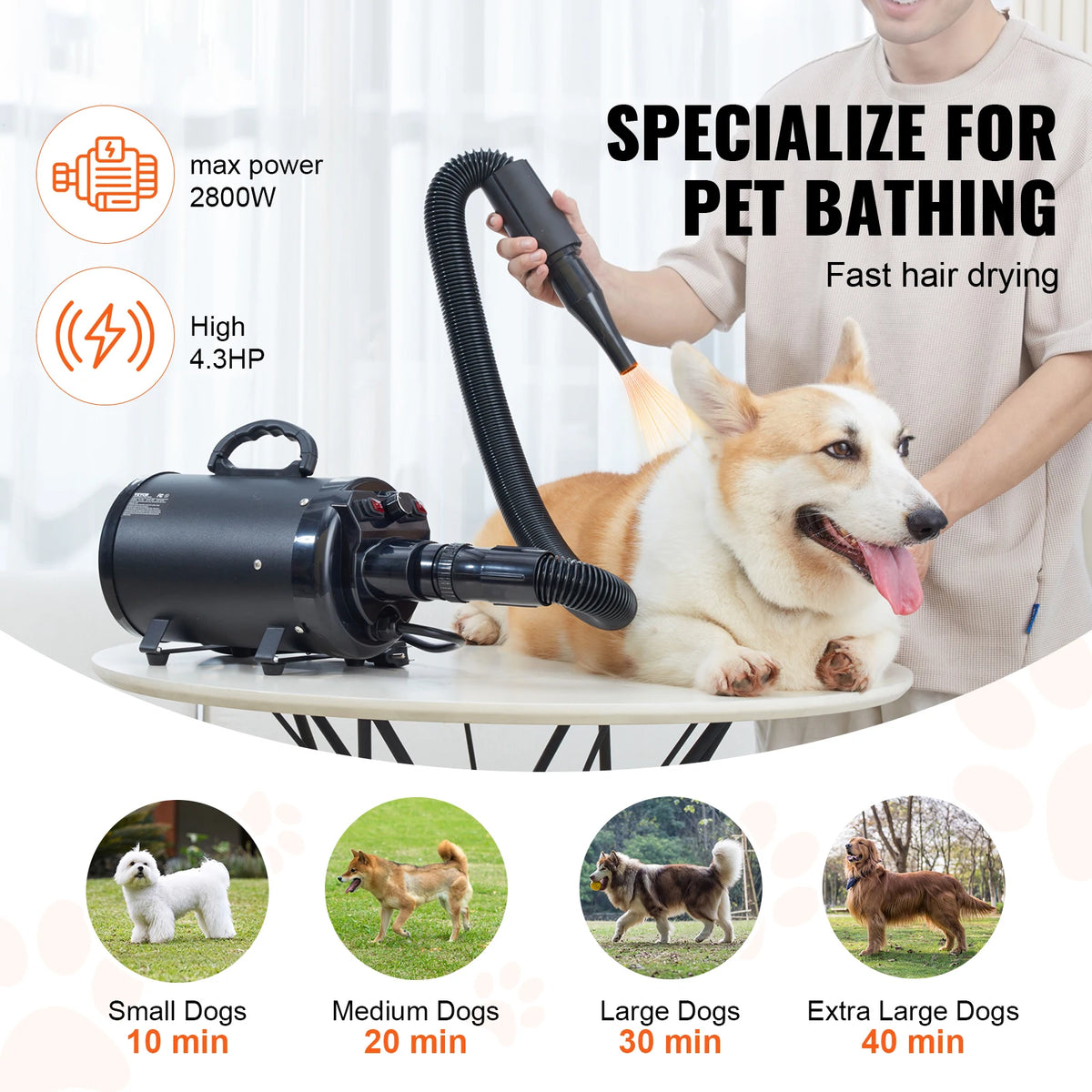 SucceBuy Powerful Pet Dryer With Adjustable Speed And Hose