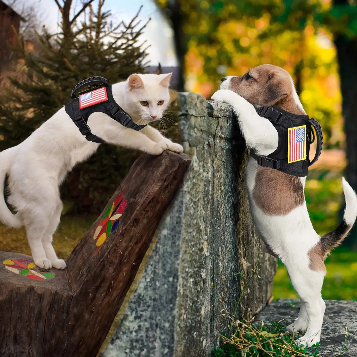 Petavel Tactical Dog Harness And Adjustable Leash Set For Small Dogs