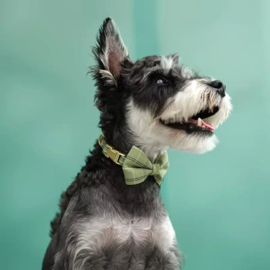 Adjustable Dog Harness Collar And Leash Set With Bowtie