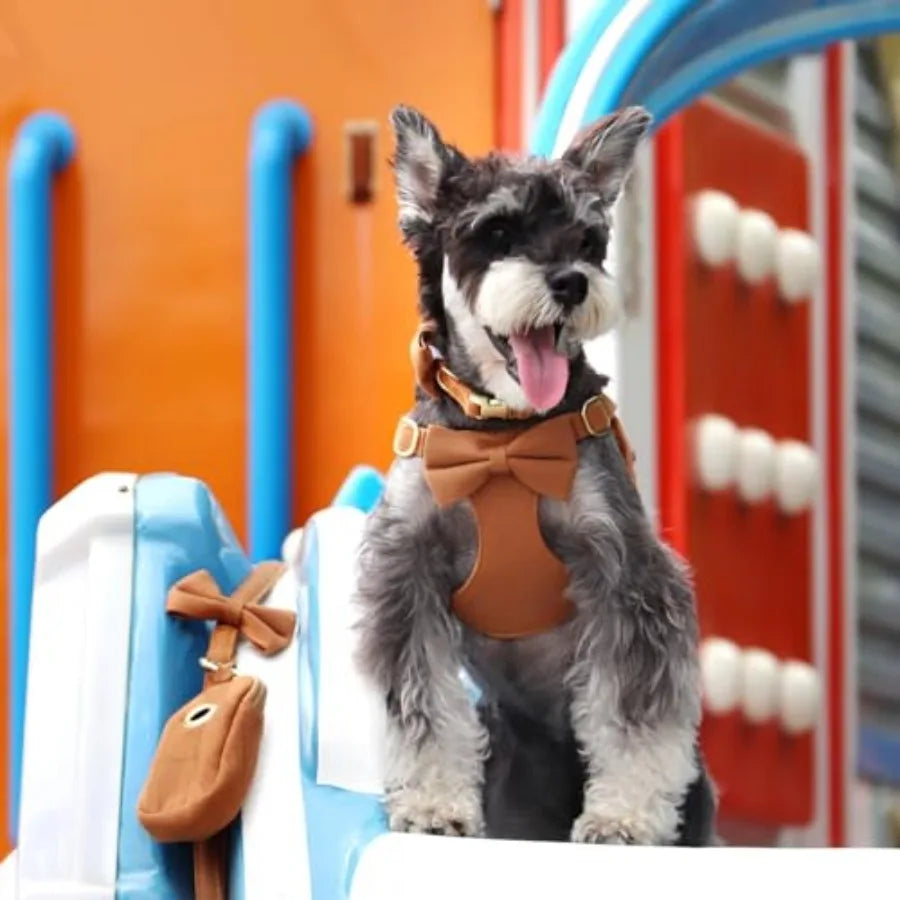 Adjustable Step In Dog Harness Collar And Leash Set