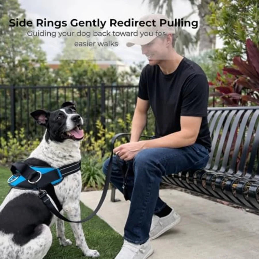 Essential No Pull Dog Harness Vest With Three Leash Clips, Reflective and Padded
