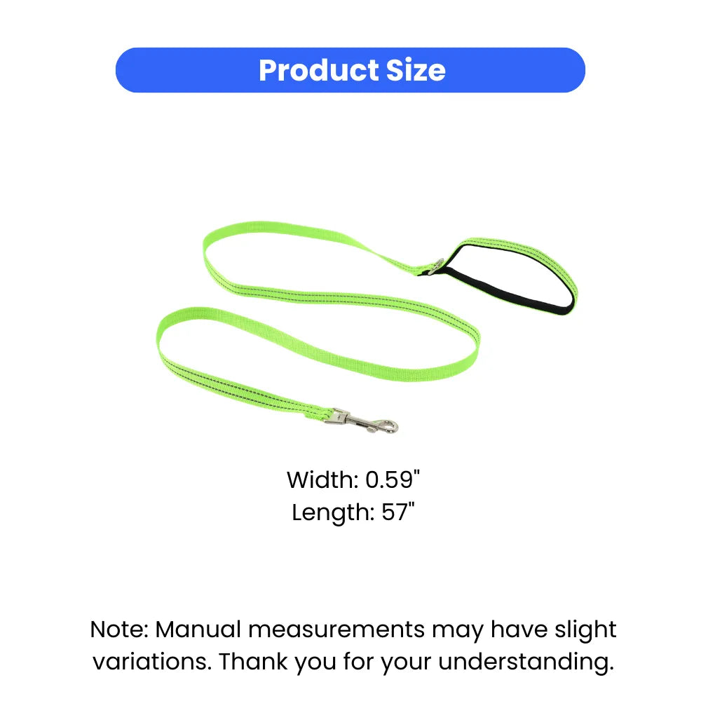 Reflective Nylon Dog Leash with Padded Handle and Metal Clip