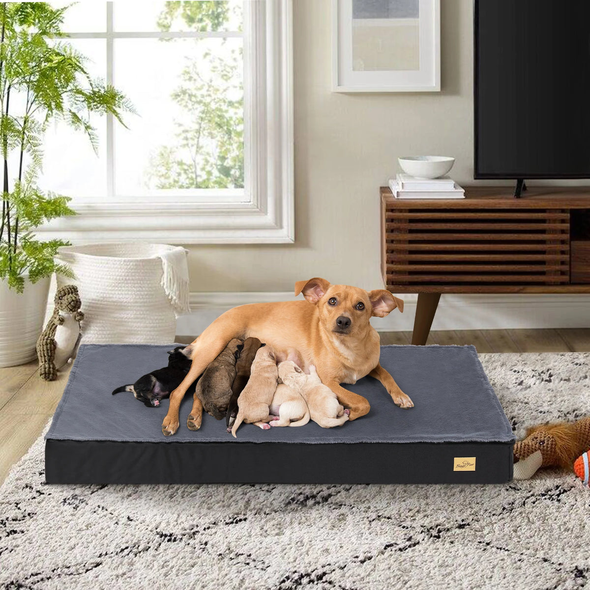 Bingopaw Washable Orthopedic Dog Bed With Removable Sponge Foam Cover
