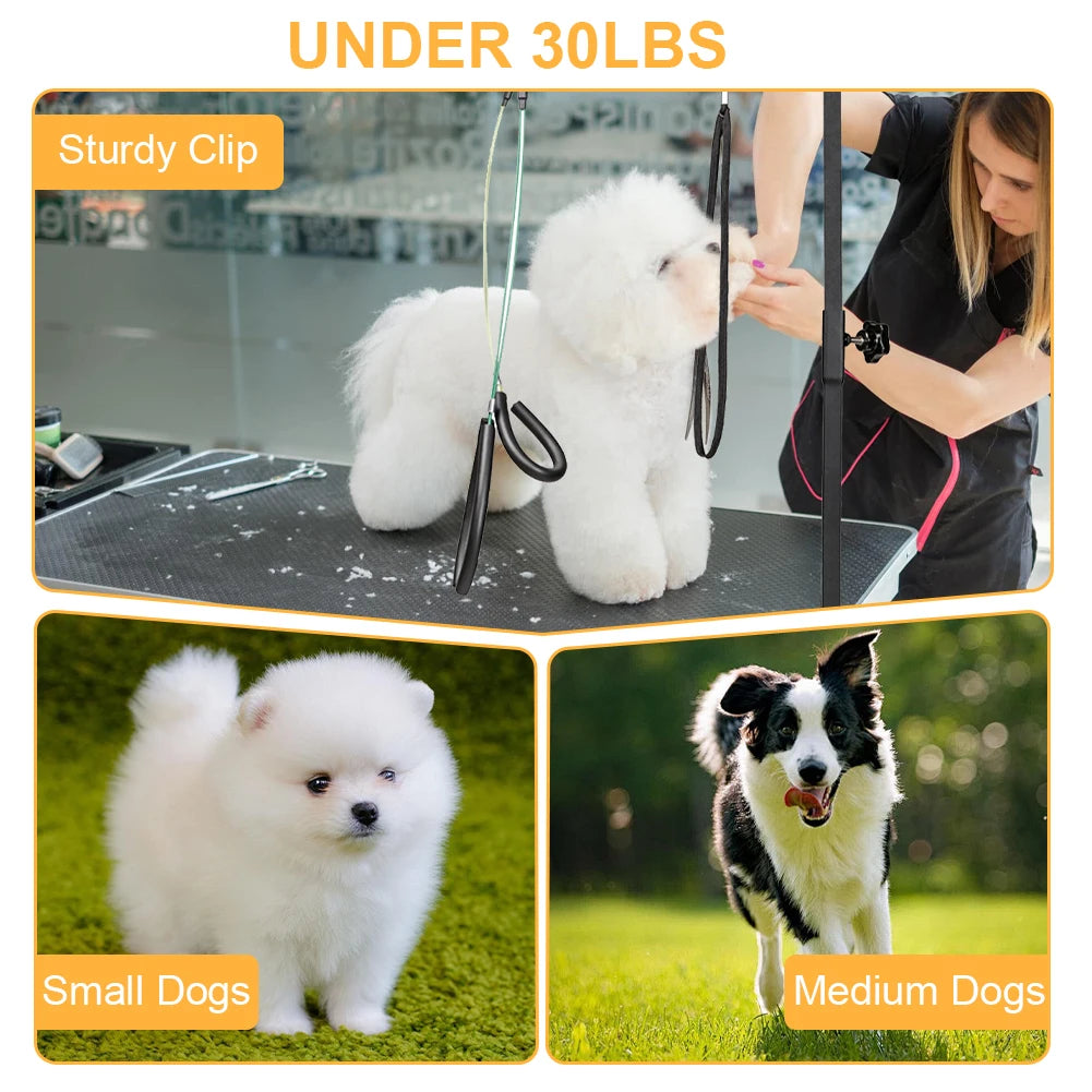 ATUOTIN Stainless Steel Dog Grooming Stand with Restraint Rope