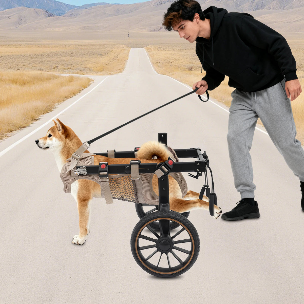 Bymaocar Adjustable Aluminum Dog Wheelchair With Hind Leg Support