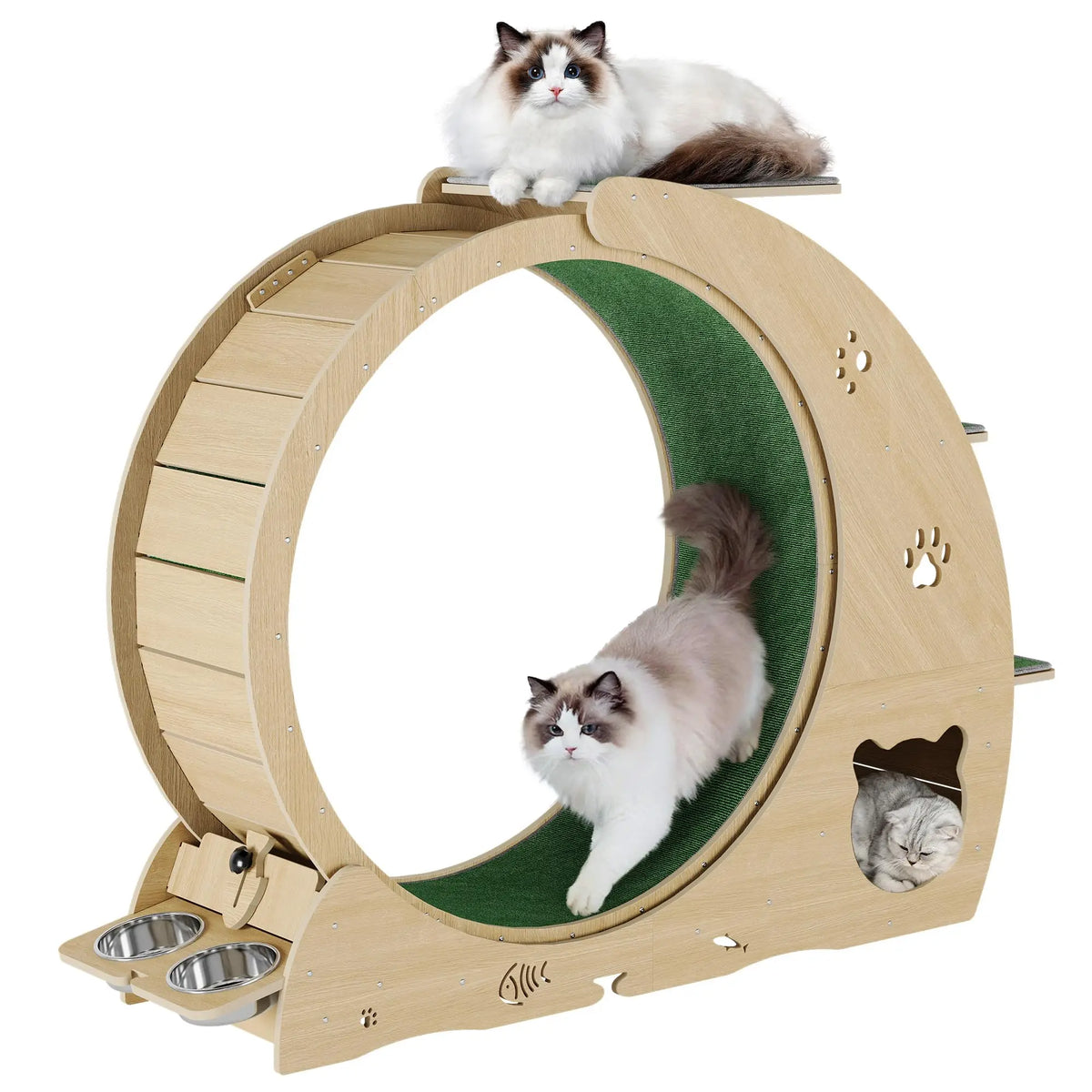 HiMISS Multifunctional Cat Exercise Wheel With Bowls And Scratch Post