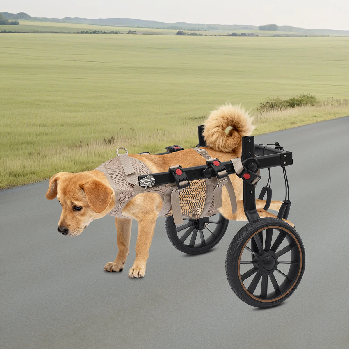 Bymaocar Adjustable Aluminum Dog Wheelchair With Hind Leg Support