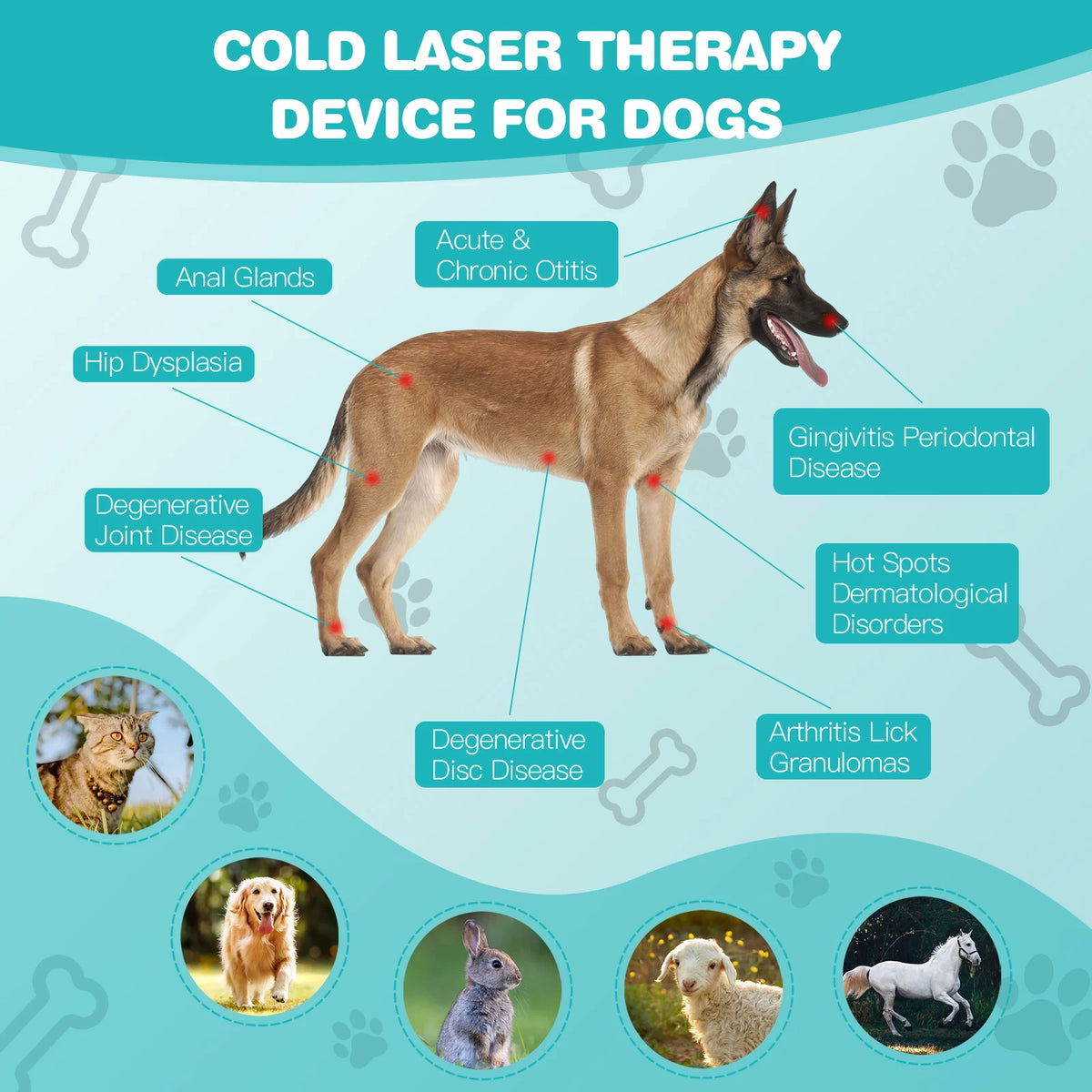 Pet Red Light Therapy Cold Laser Pain Relief Device For Dogs And Cats