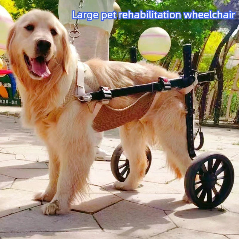 Adjustable Dog Wheelchair For Back Legs Support And Therapy