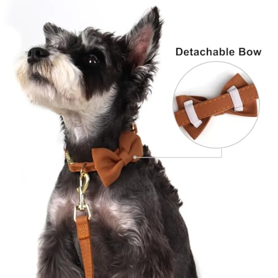 Adjustable Step In Dog Harness Collar And Leash Set