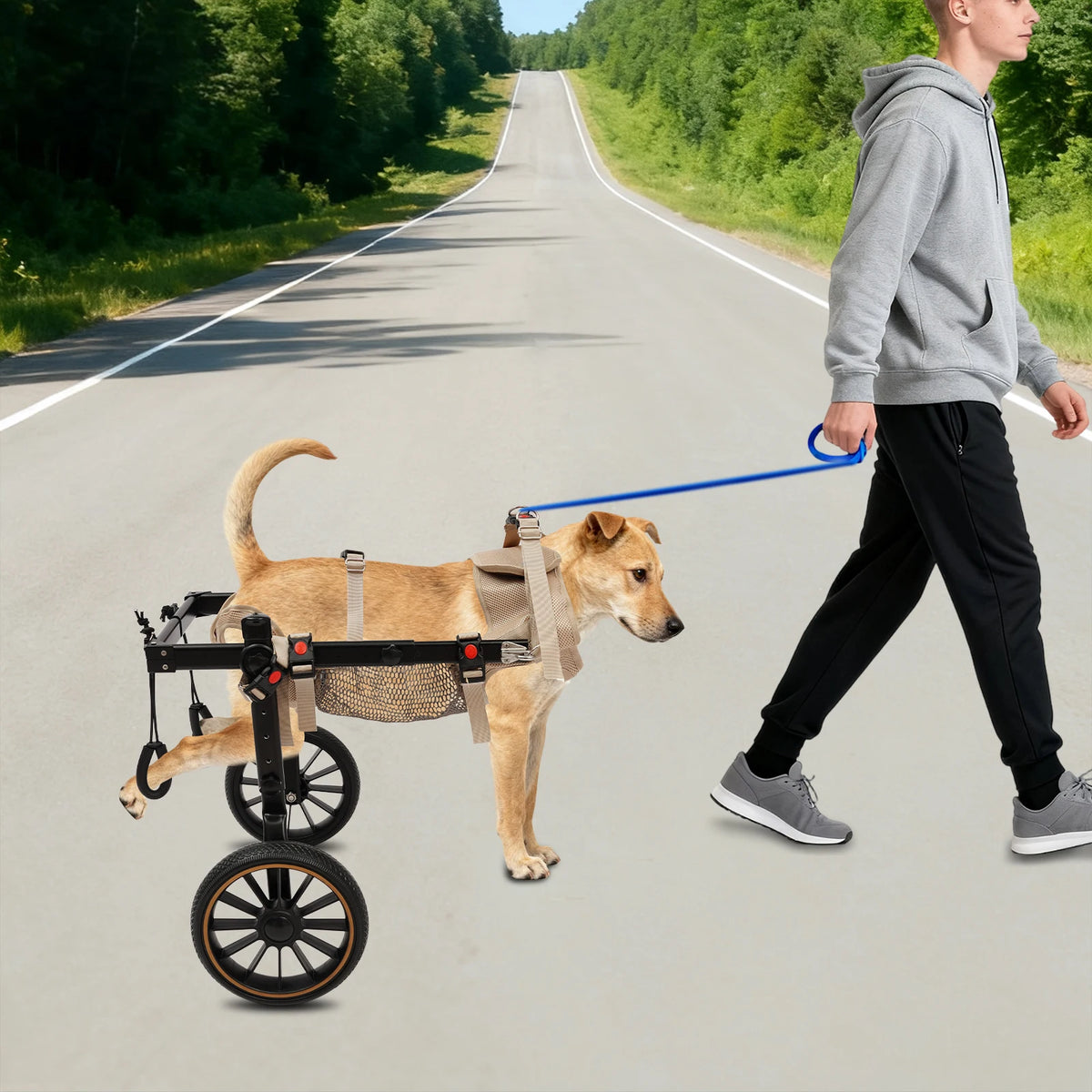 Pet Walking Aid Pet Rehabilitation Walking Aid Multi-Scenario Usage 2-Wheel Dog Wheelchairs for Back Legs/Senior Dogs 65kg Load