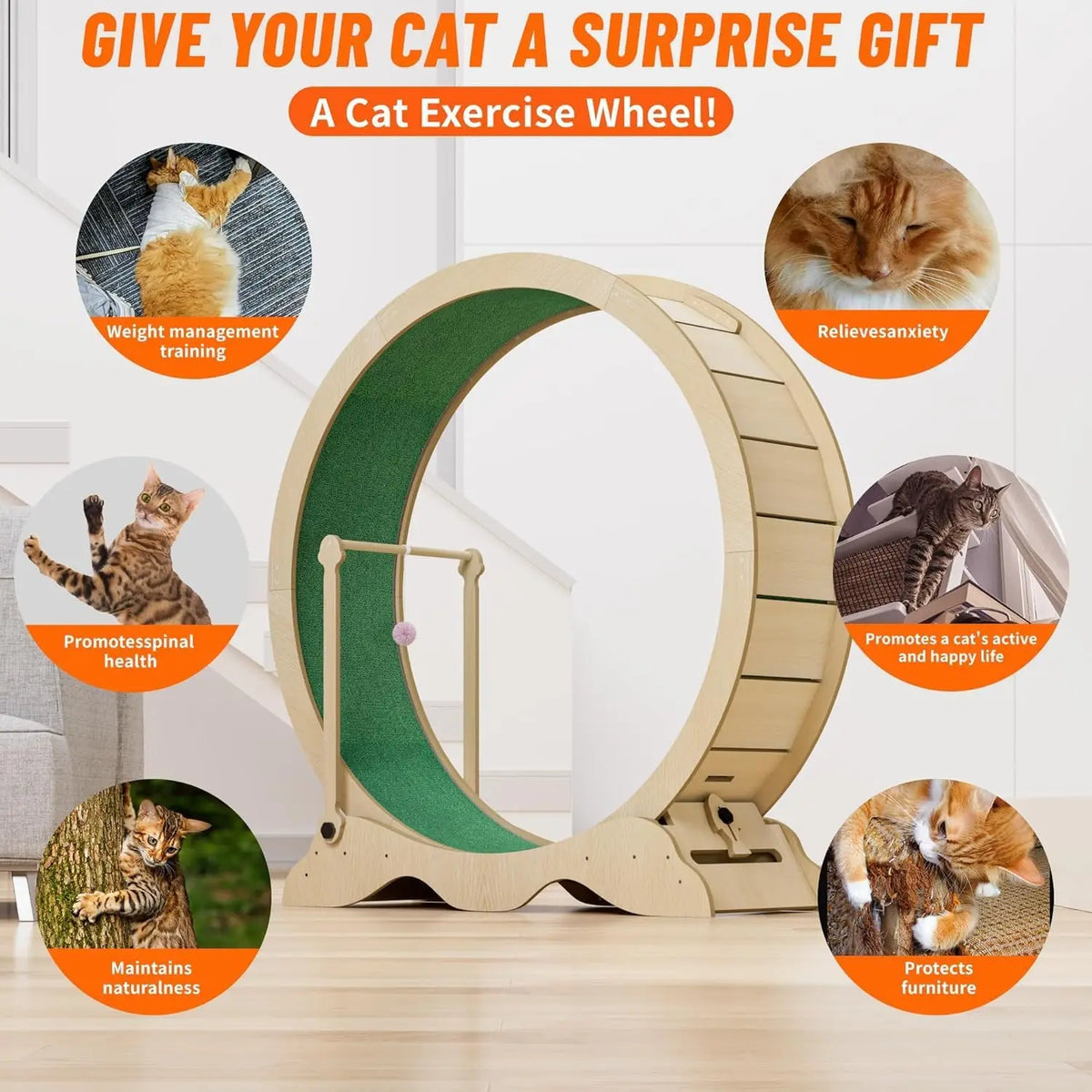 Studyset Quiet Cat Exercise Wheel With Detachable Carpeted Runway