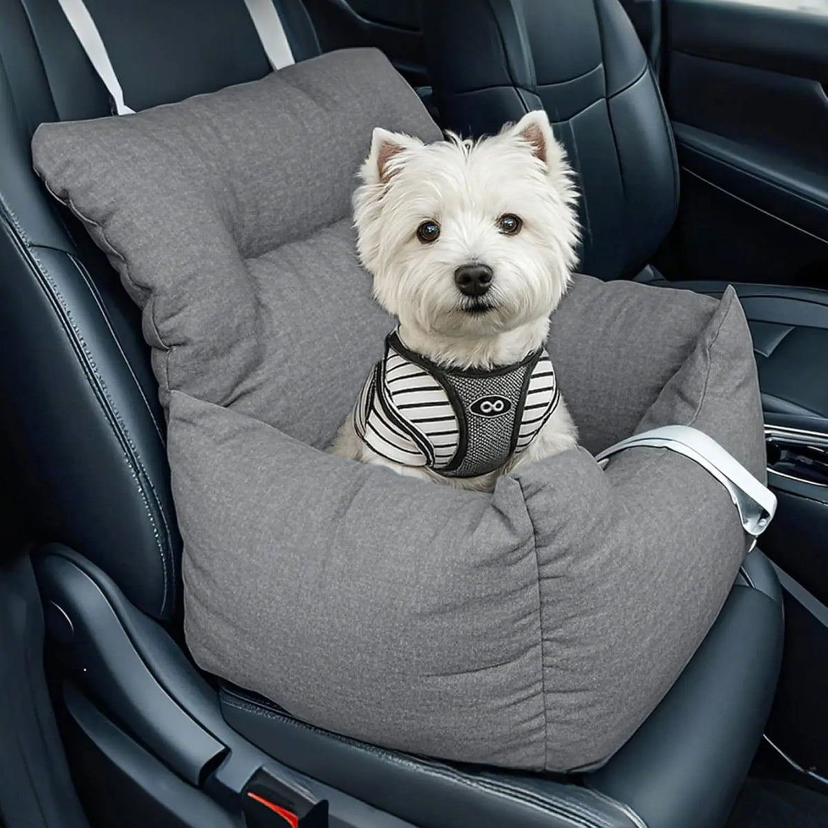Elevated Dog Booster Car Seat Bed, Grey, 60x45x50 cm, Small Dogs up to 18 lb, Portable Travel Seat with Safety Tether, Washable Reversible Cushion Front/Back Seat