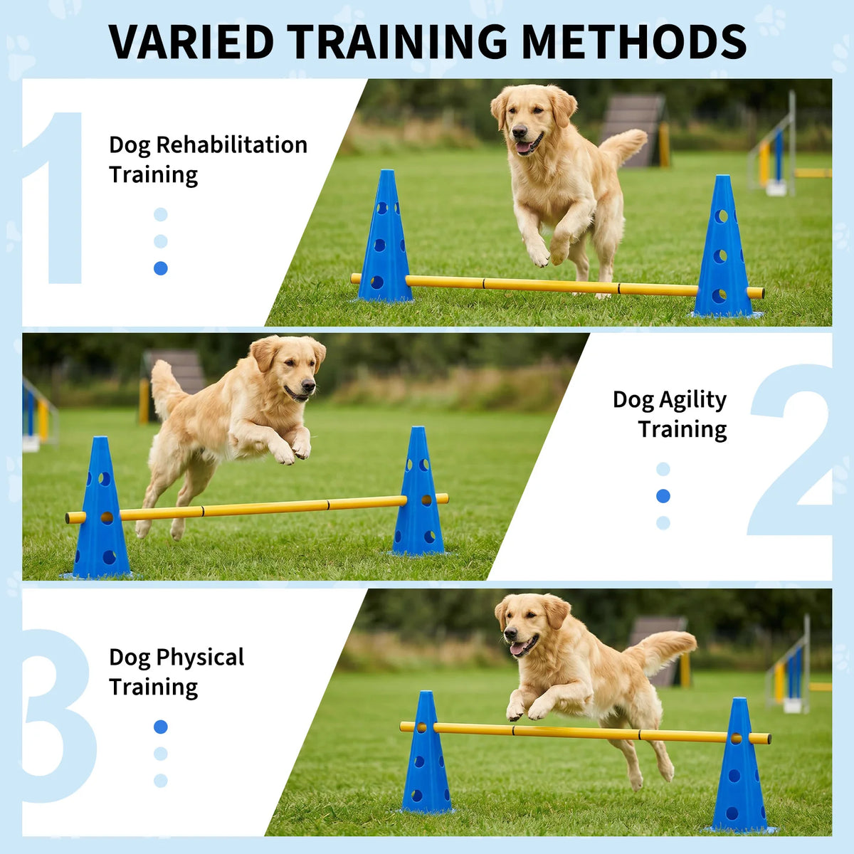 Dog Agility Training Set With Adjustable Hurdles And Cones