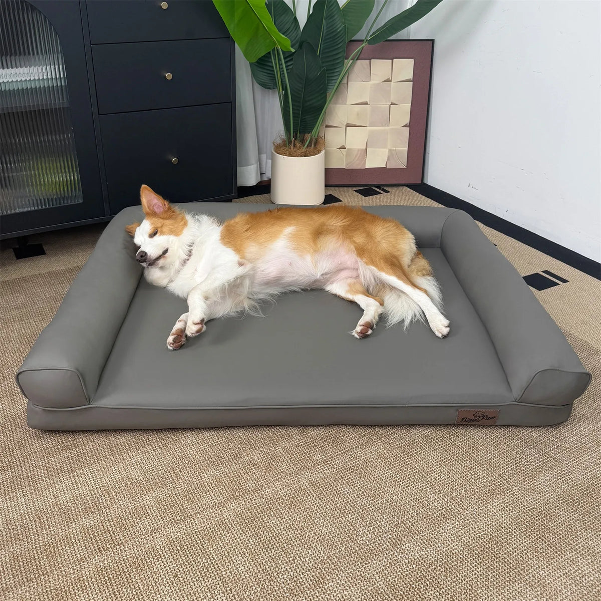 Borwart Orthopedic Waterproof Dog Bed With Removable Cover Bolster