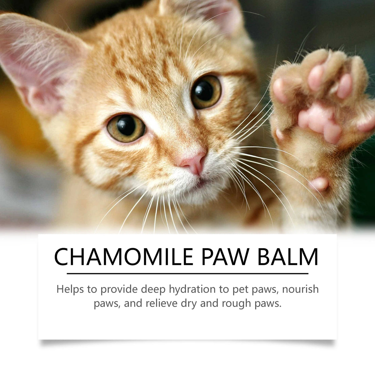 Pet Paw Balm For Dogs And Cats, Chamomile Moisturizing Paw Cream, Soften & Protect Dry Cracked Paw Pads