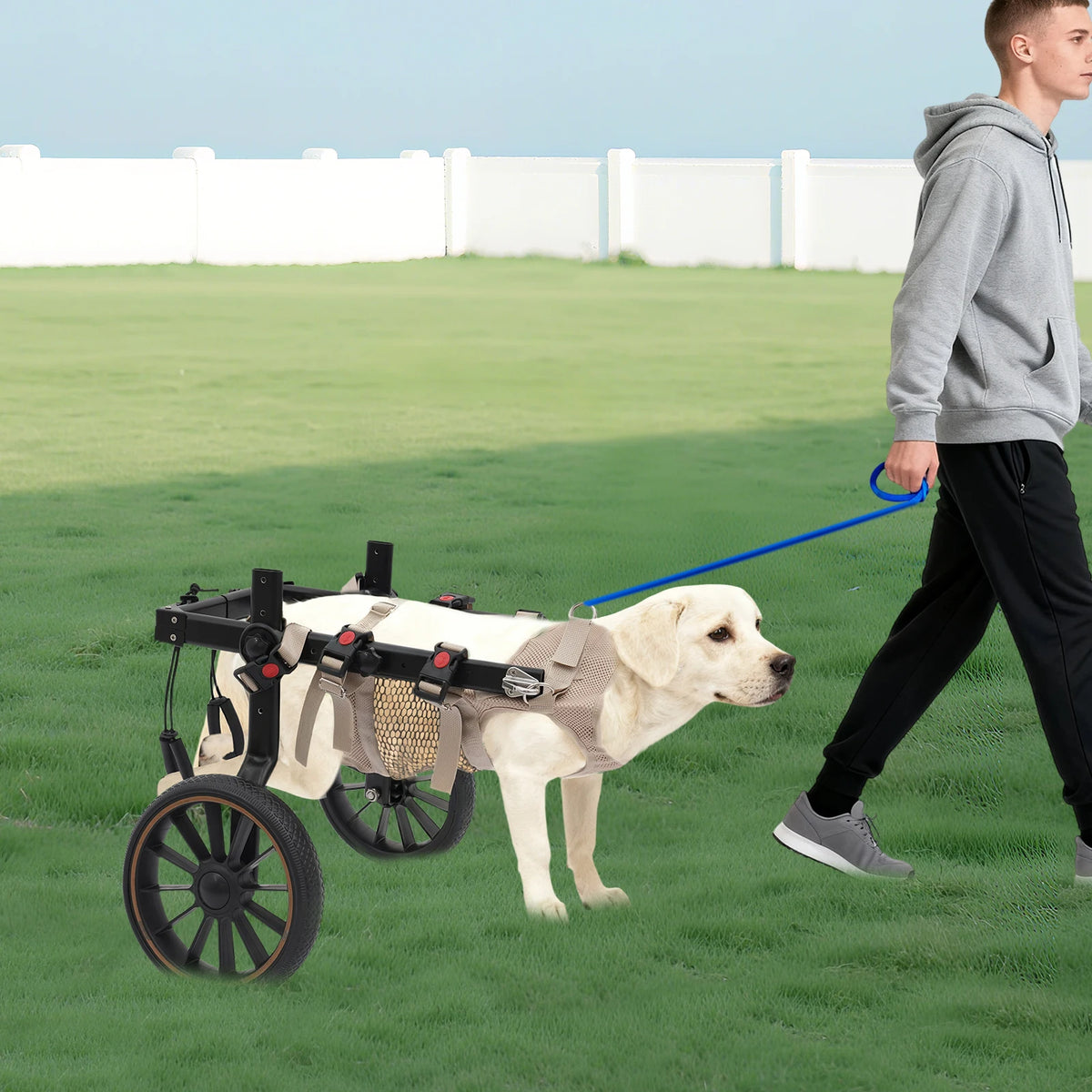 Bymaocar Adjustable Aluminum Dog Wheelchair With Hind Leg Support