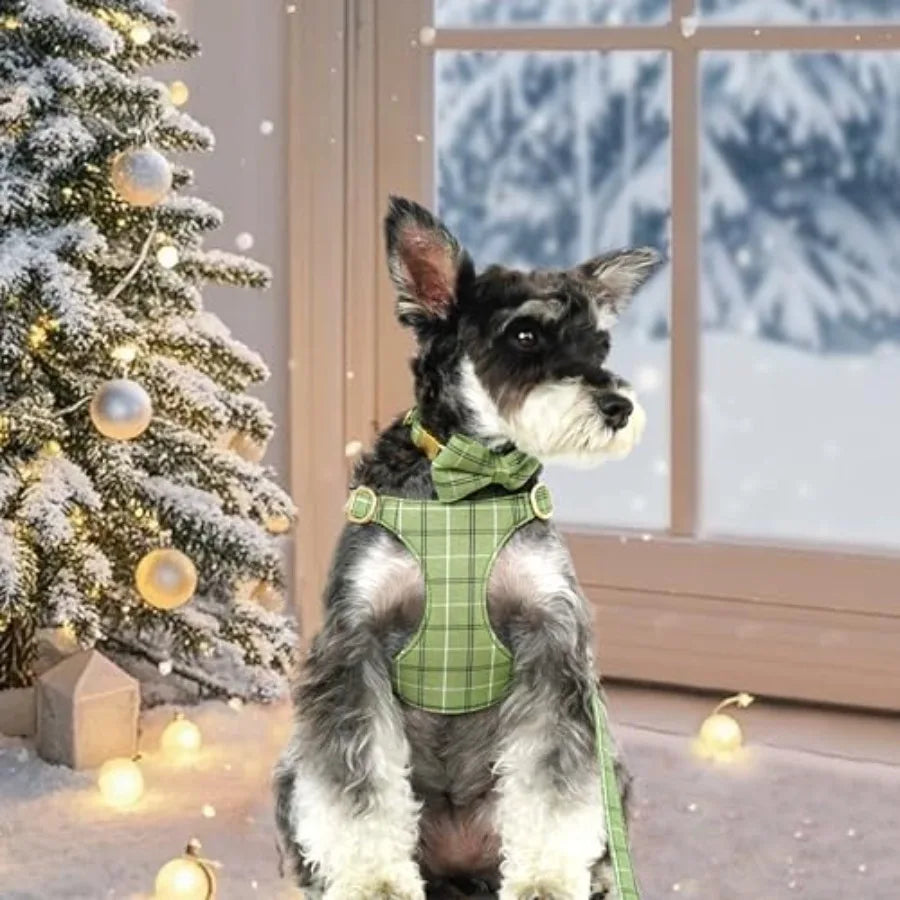 Adjustable Dog Harness Collar And Leash Set With Bowtie