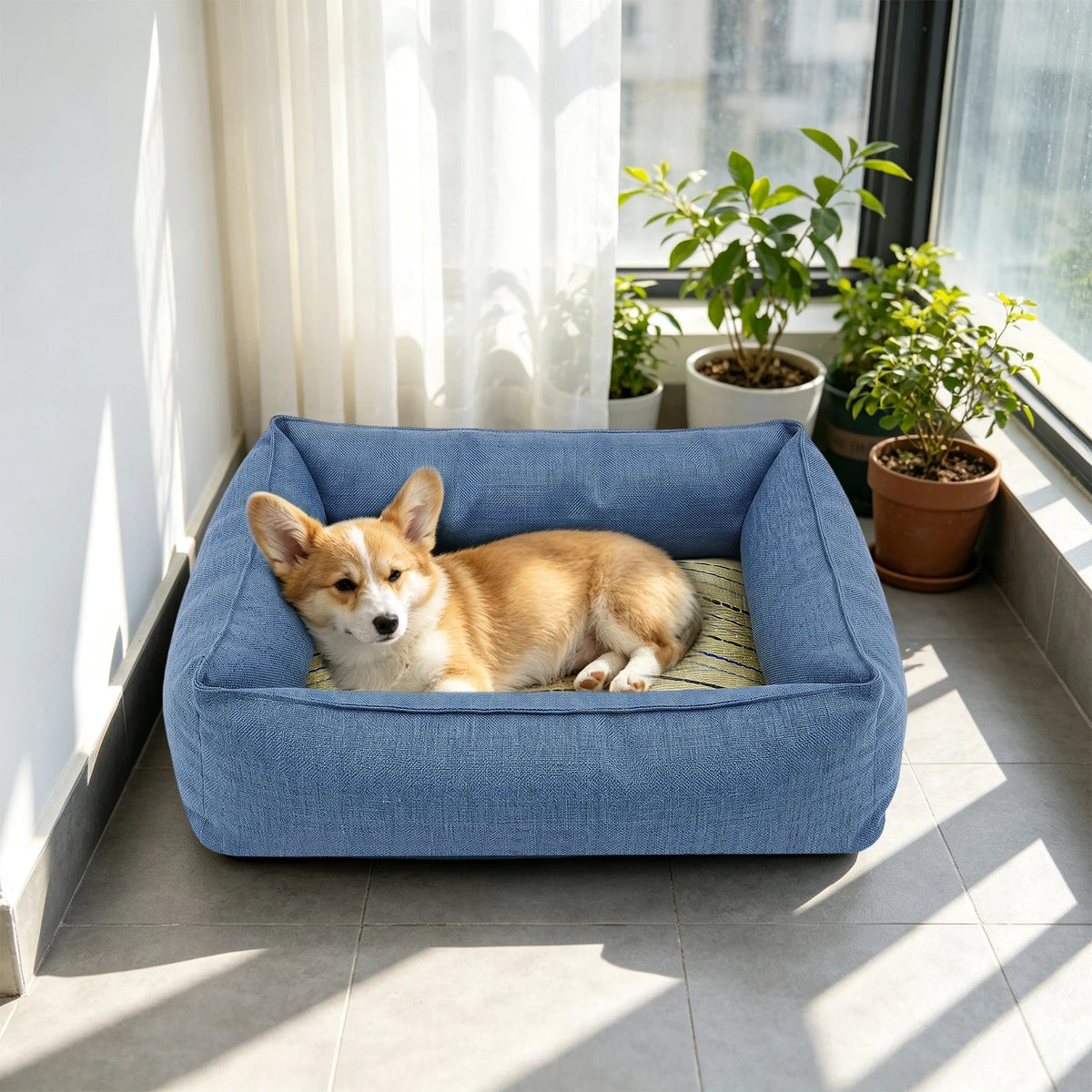 Natural Rush Grass Pet Bed With Raised Edge Non-Slip Base