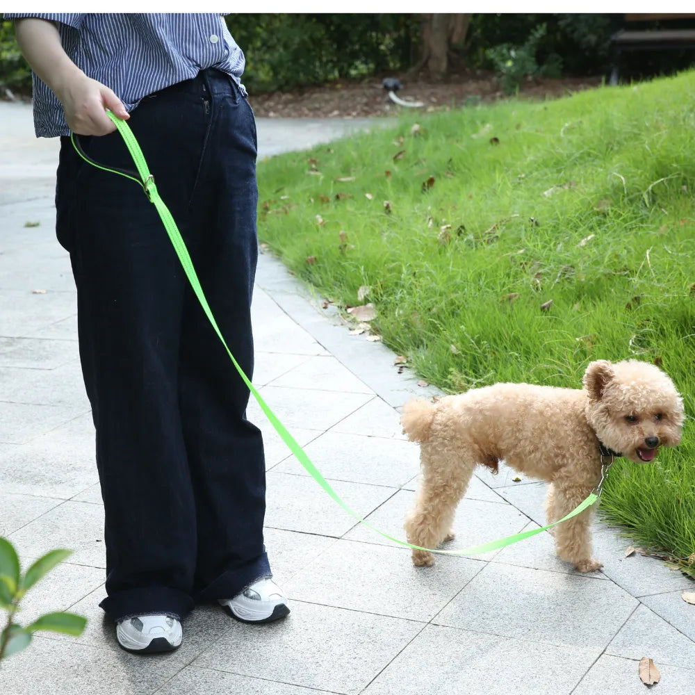 Reflective Nylon Dog Leash with Padded Handle and Metal Clip