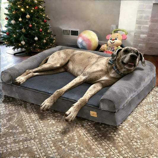 Borwart Orthopedic Memory Foam Dog Bed With Removable Plush Cover