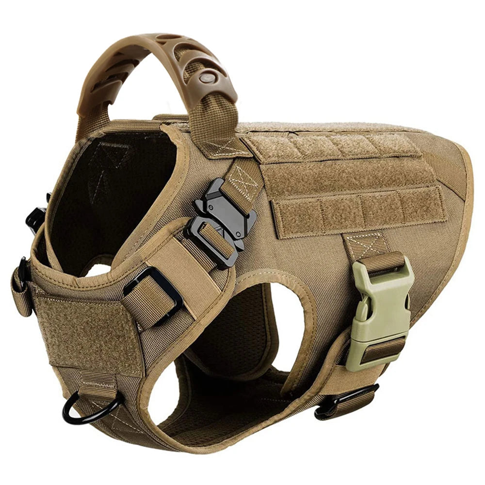 Petavel Padded Nylon Dog Harness And Leash Set Quick Release